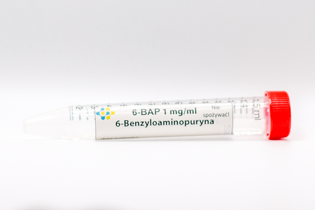 6-BENZYLOAMINOPURYNA - 6-BAP hormon in vitro (1)
