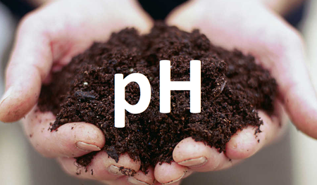 Badanie odczynu pH gleby (1)