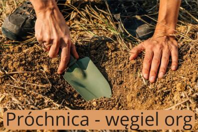 Analiza gleby - próchnica - węgiel organiczny