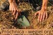 Analiza gleby - próchnica - węgiel organiczny